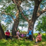 Naic: Becoming a More Connected, Livable Community